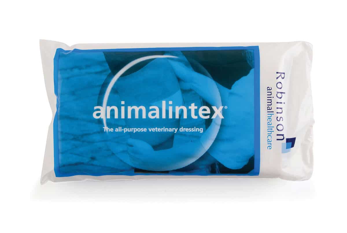 Animalintex Poultice Dressing - equichoice.co.uk