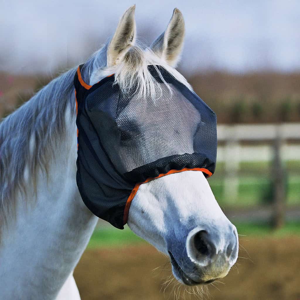 Equilibrium Midi (NO EARS) Fly Mask