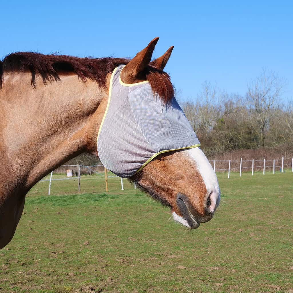 Equilibrium Midi (NO EARS) Fly Mask