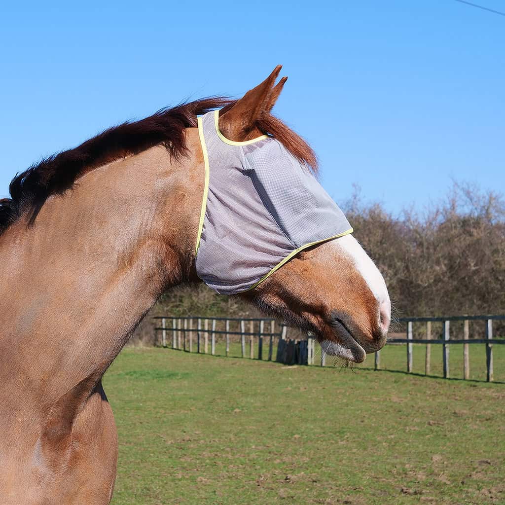 Equilibrium Midi (NO EARS) Fly Mask