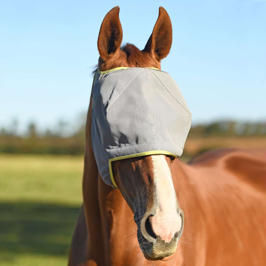 Equilibrium Midi (NO EARS) Fly Mask