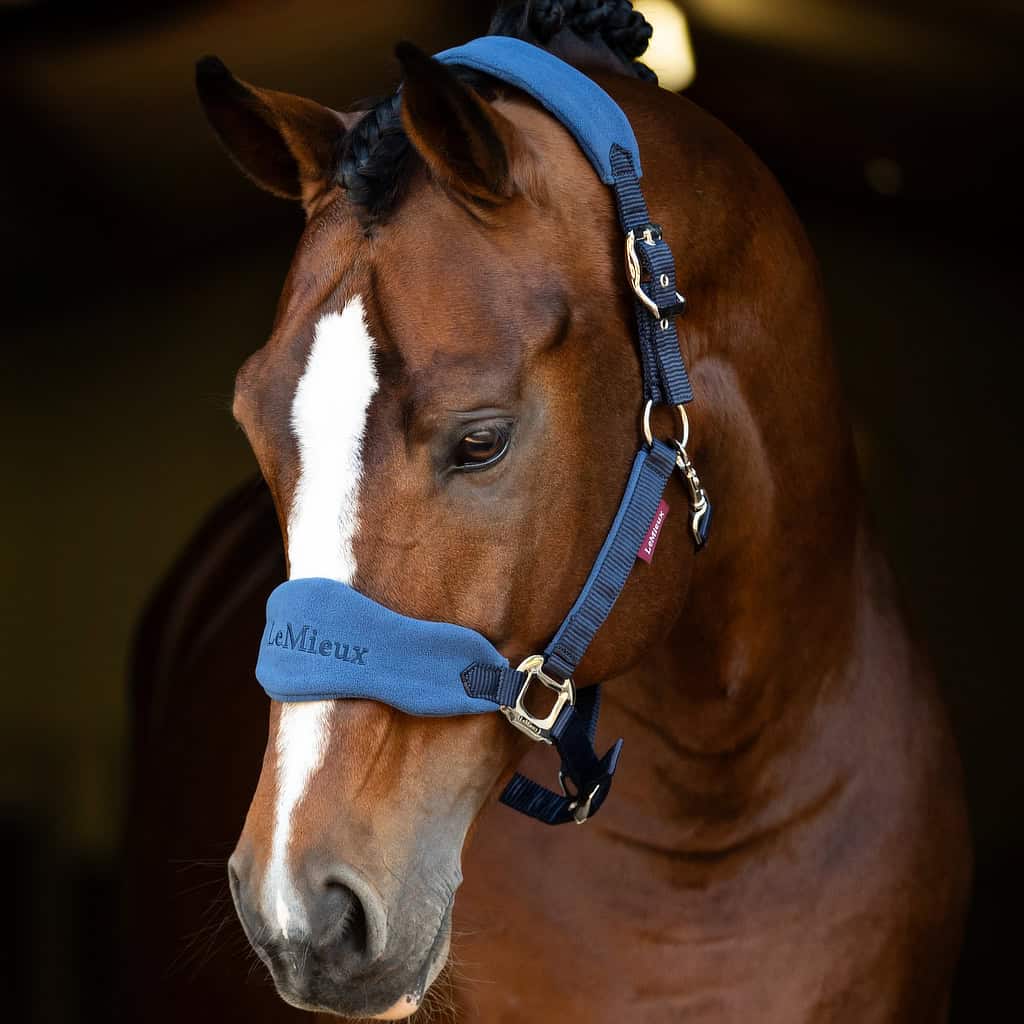 LeMieux Atlantic Vogue Fleece Headcollar