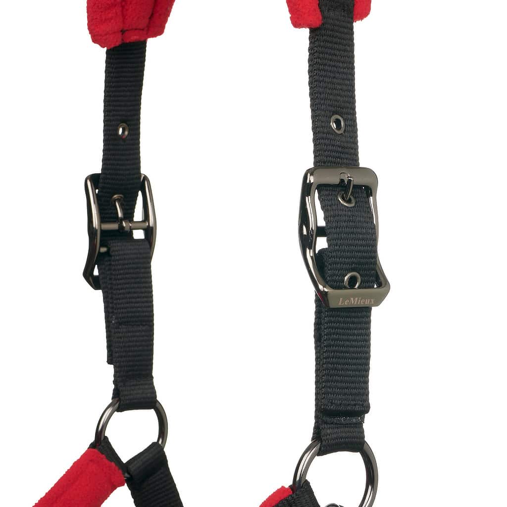 LeMieux Chilli Vogue Fleece Headcollar