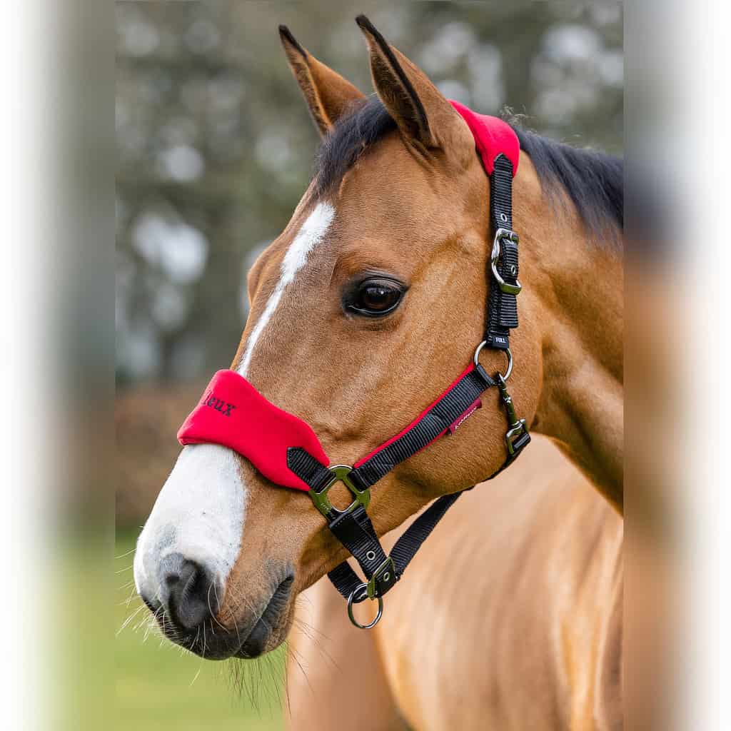 LeMieux Chilli Vogue Fleece Headcollar