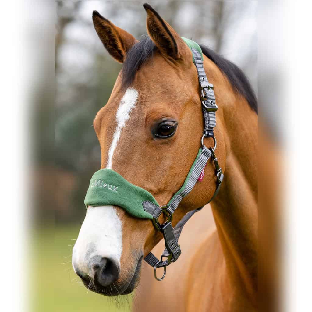 LeMieux Hunter Green Vogue Fleece Headcollar