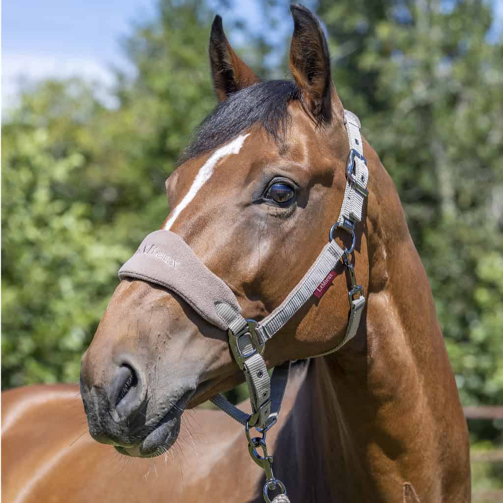 LeMieux Mink / Mocha Vogue Fleece Headcollar