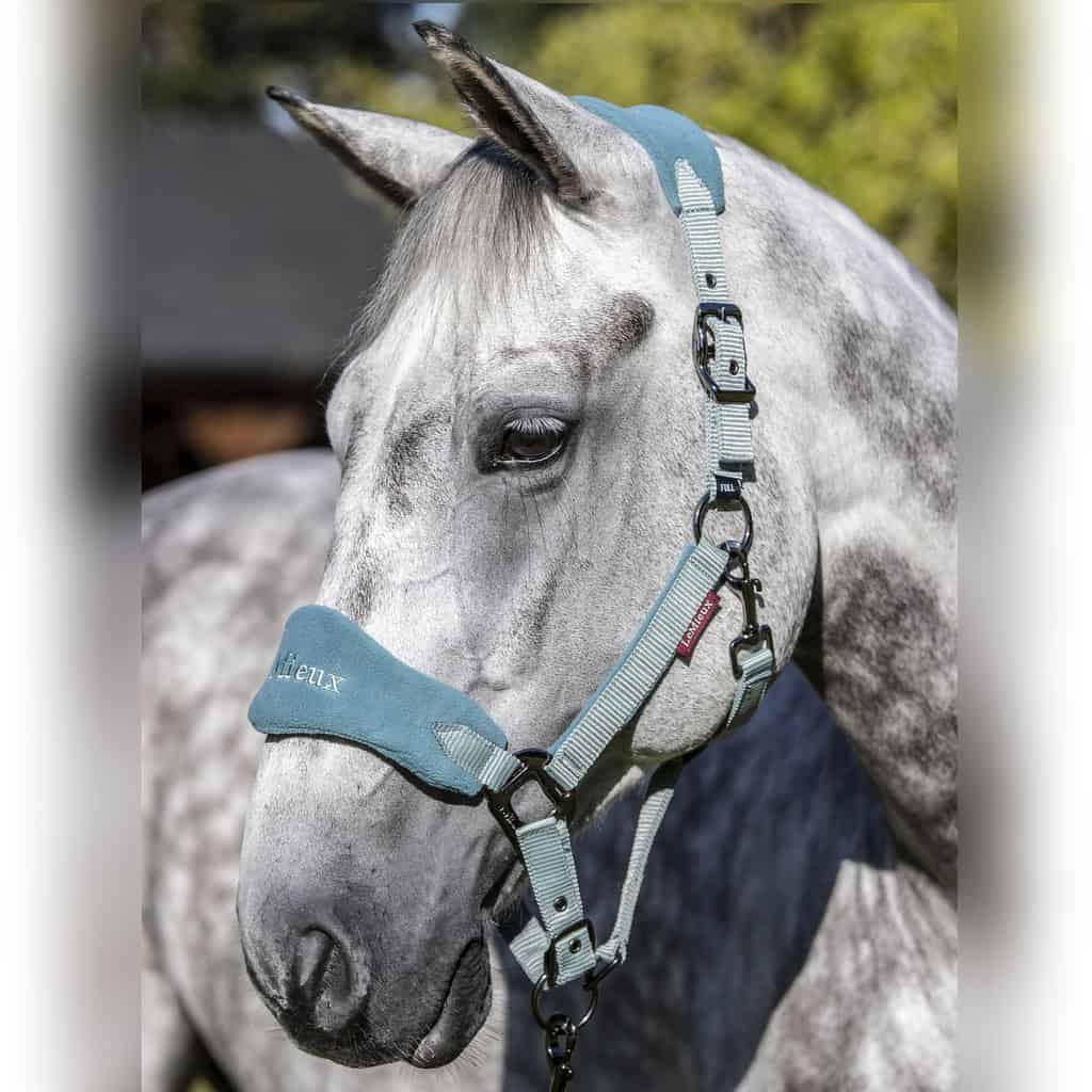 LeMieux Sage Vogue Fleece Headcollar