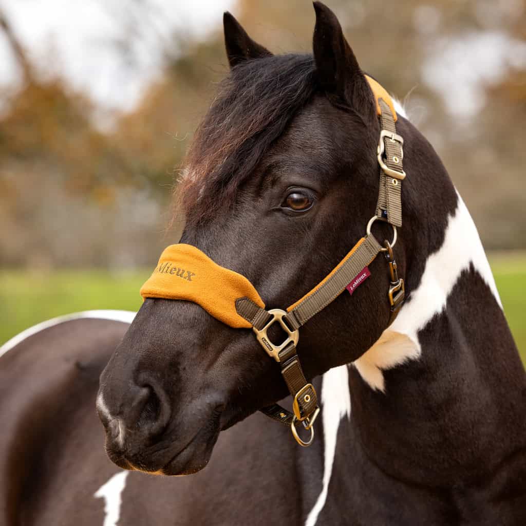 LeMieux Alpine Vogue Fleece Headcollar