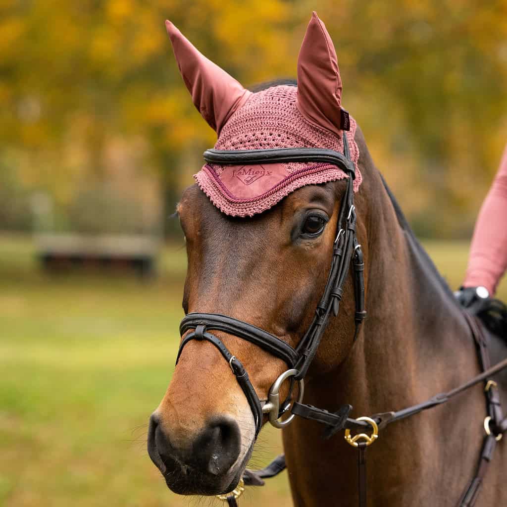 LeMieux Orchid Classic Fly Hood