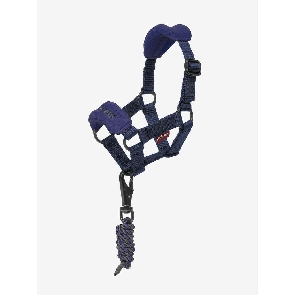 LeMieux Toy Pony Headcollar