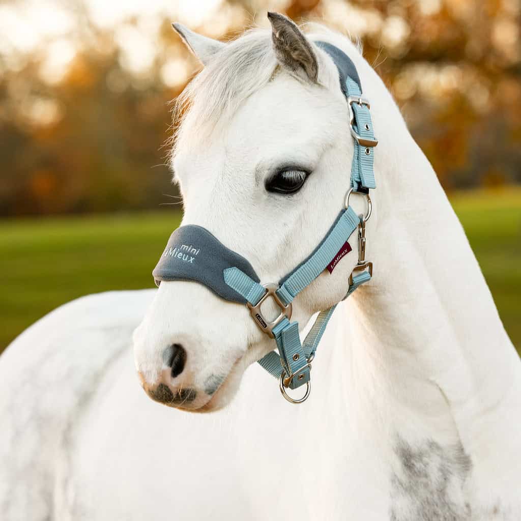 LeMieux Mini Vogue Pony Headcollar