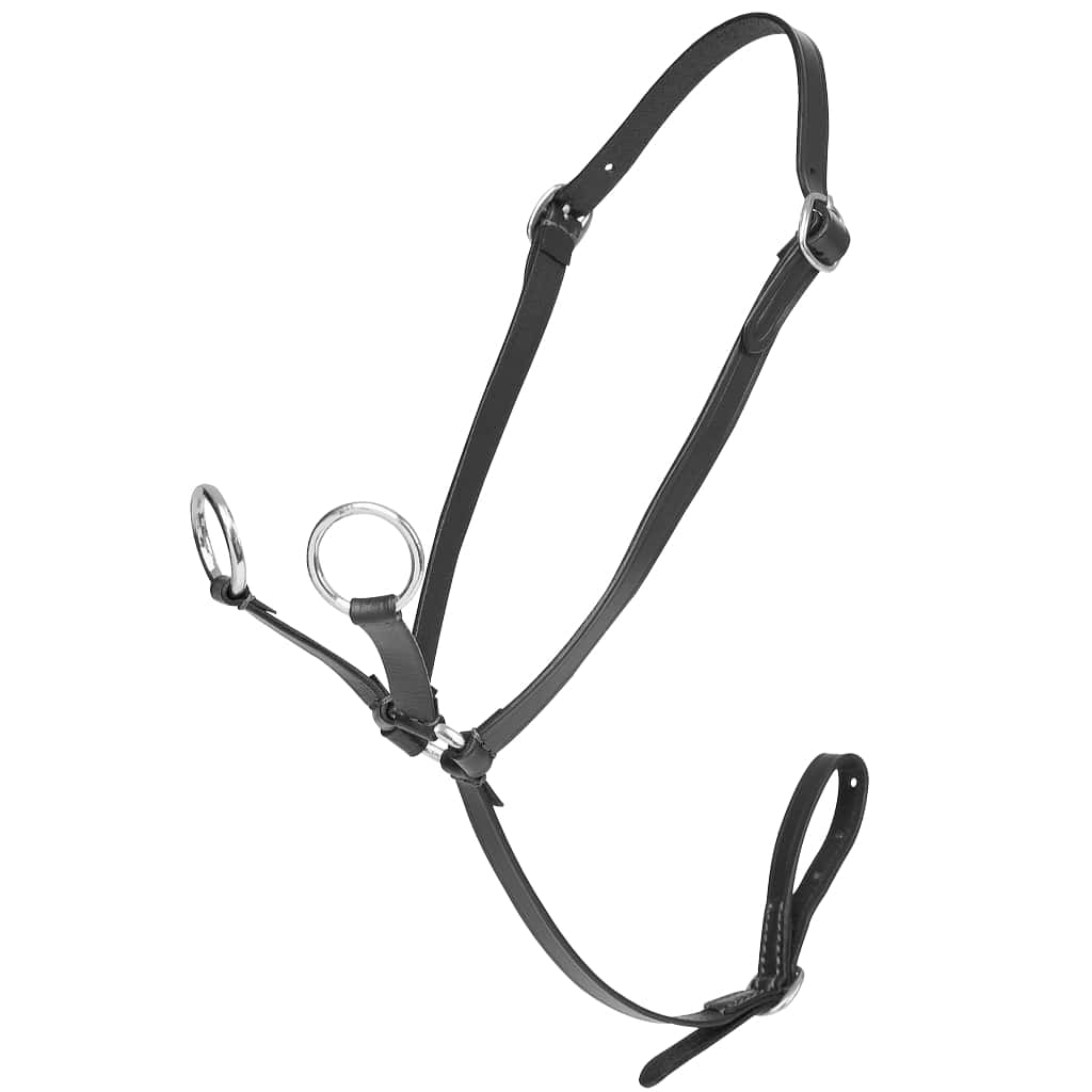 lemieux toy pony martingale in black with silver colour metalwork