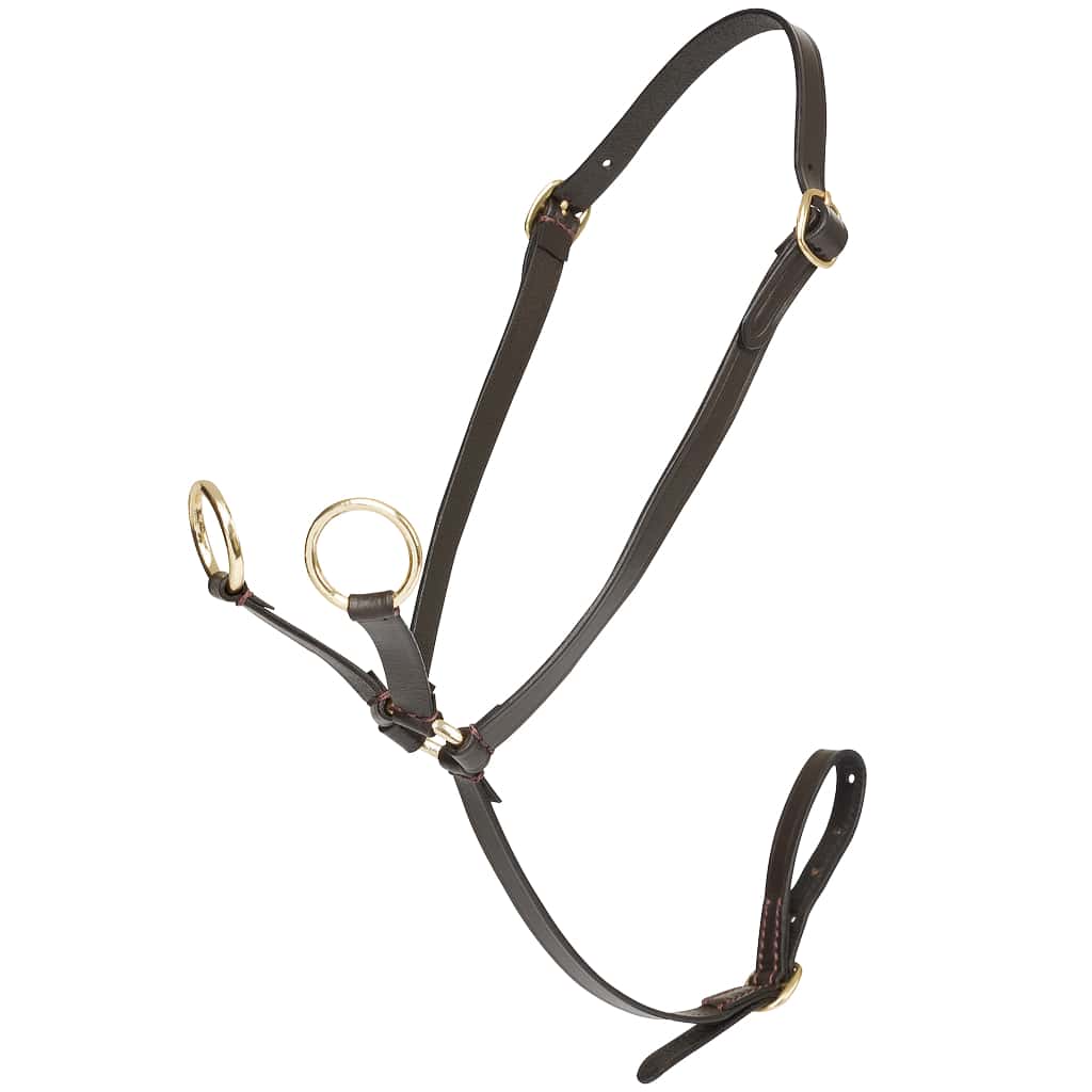 lemieux toy pony martingale in brown leather with brass coloured metalwork