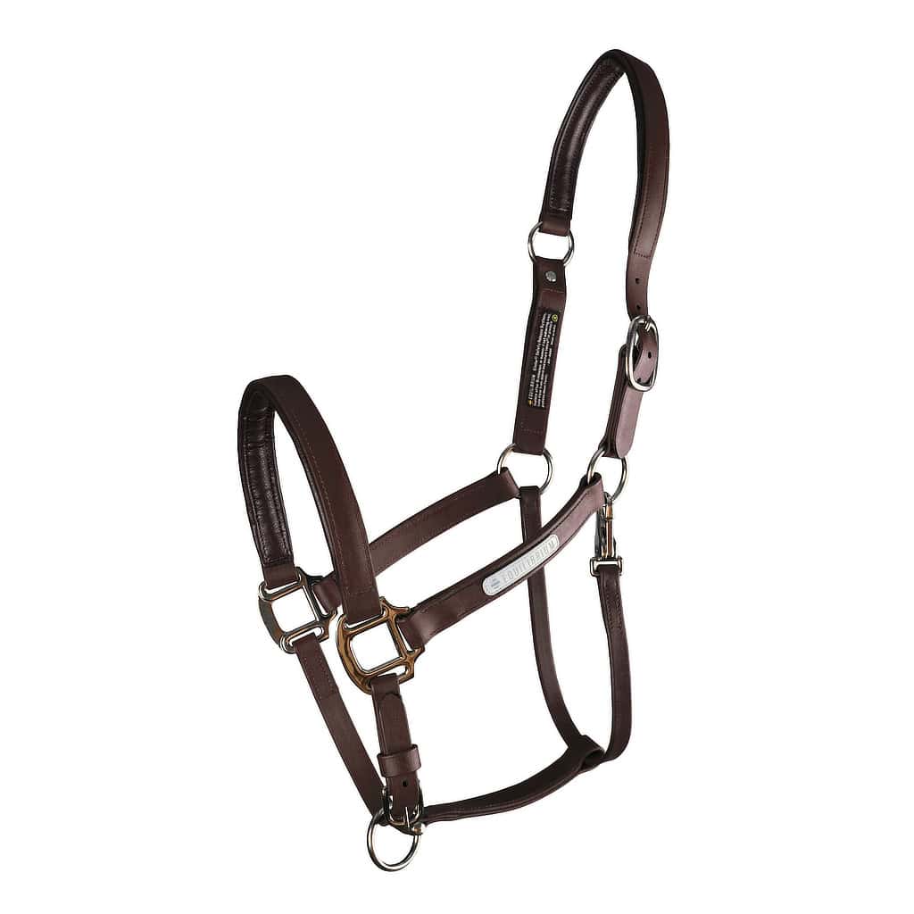 Equilibrium Stellar All-Weather Safety Headcollar